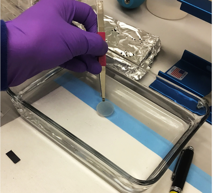 figure-results-3 Static equilibrium; spectroscopy preparation; experiment setup; gloved hand with tweezers in lab.