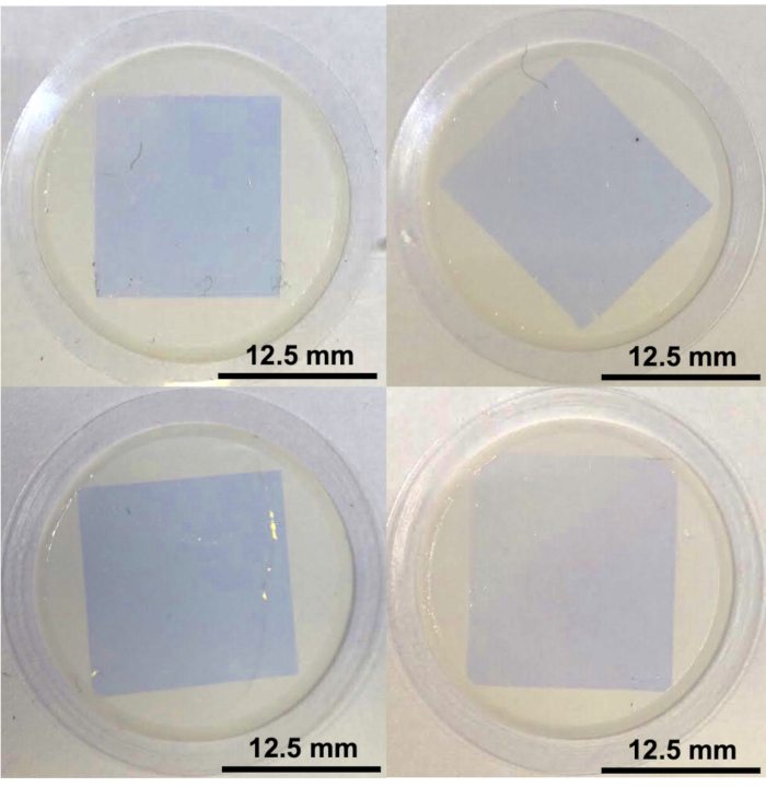 figure-results-5 Thin film samples on petri dishes, displaying coating uniformity and transparency.