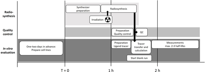 figure-results-1 Radiosynthesis timeline diagram; tracer preparation, QC, and in vitro evaluation process detailed.