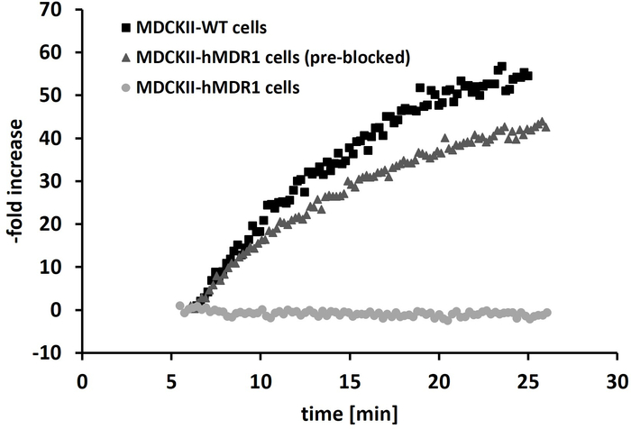 figure-results-5 Cell uptake kinetics graph; MDCKII-WT, hMDR1; time-vs-fold increase; comparative data analysis.