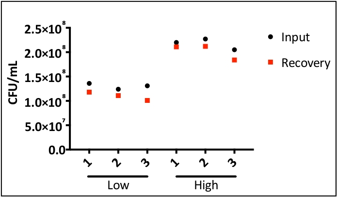 Bacterial CFU/mL analysis chart comparing input vs recovery at low and high concentrations.