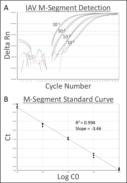IAV M-Segment qPCR detection graph and standard curve, Ct vs Log C0, cycle analysis chart.