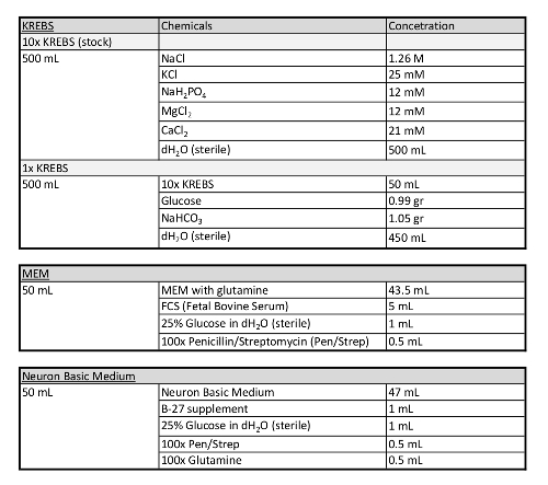 Krebs and MEM recipe chart; includes chemical concentrations for cell culture preparation.