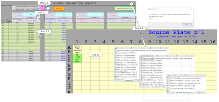 384-well transfection template workflow, Excel setup, DNA transfer guides, source plate data analysis.