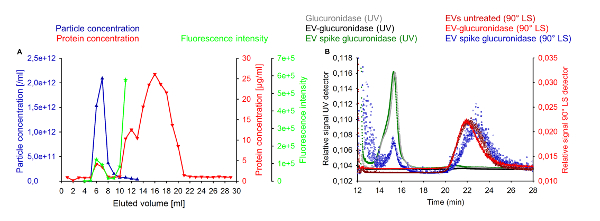 figure-results-3 Chromatography results; particle, protein concentration, fluorescence; eluted volume, time graph.