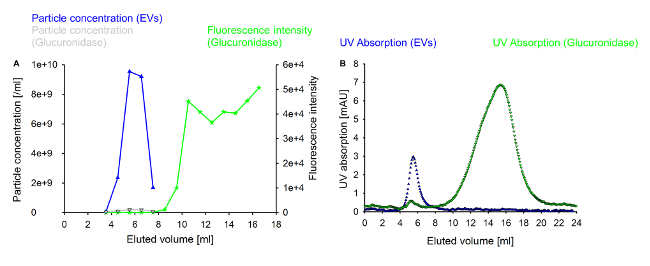 figure-results-4 Chromatography results; particle concentration, fluorescence intensity, UV absorption graph.