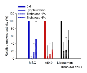figure-results-7 Relative enzyme activity bar chart for MSC, A549, liposomes under lyophilization, and trehalose conditions.