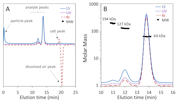 Size-exclusion chromatography, elution peaks, molar mass graph, protein analysis, LS, UV, RI, MW data.