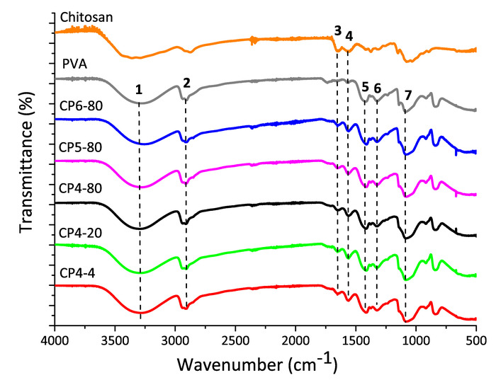 figure-results-2 FTIR spectra chart for chitosan-PVA blends; transmittance vs. wavenumber analysis.