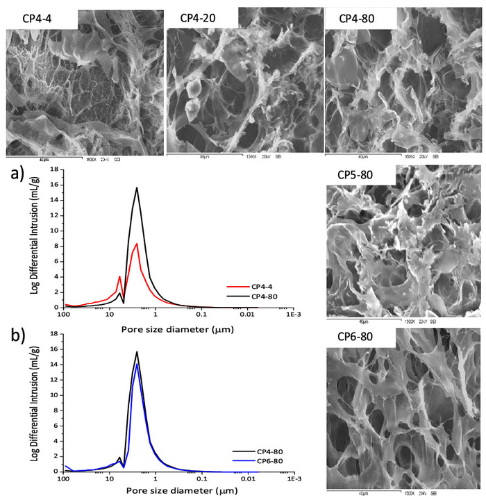 figure-results-3 SEM microstructure images with pore size distribution graphs for CP4, CP5, CP6 materials analysis.