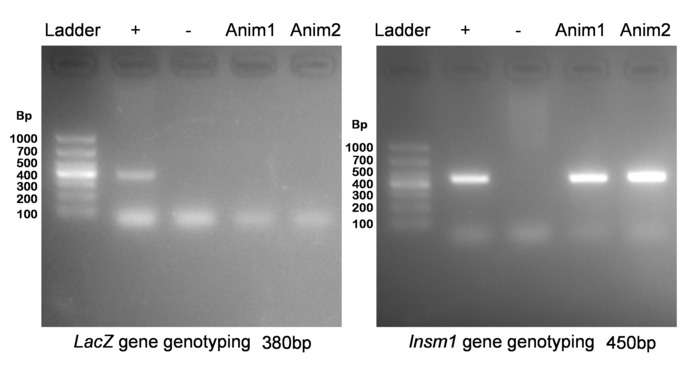 figure-results-5