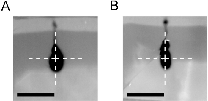 Sessile drop analysis, liquid surface tension measurement, experimental setup, image comparison.
