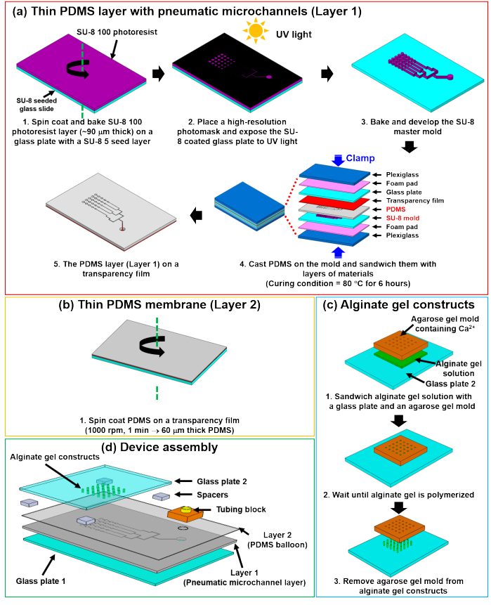 figure-results-2 PDMS microchannel fabrication and assembly process with UV exposure, molding, and device integration diagram.