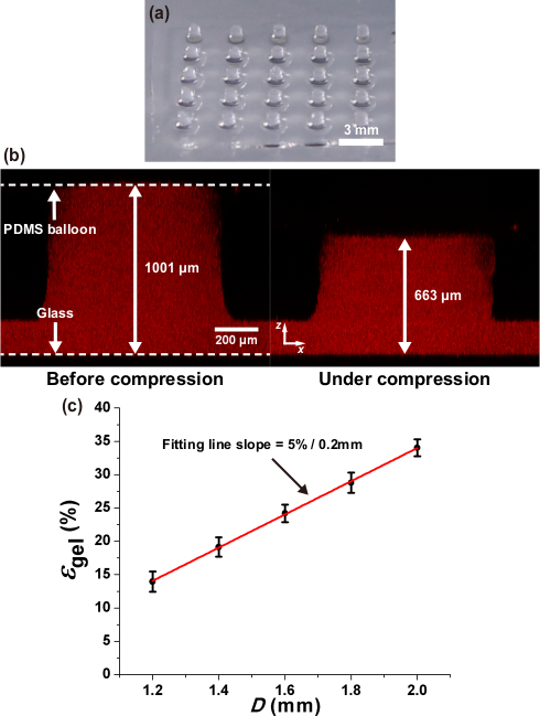figure-results-3 PDMS balloon compression: optical images (a,b), graph (c) shows elasticity Egel vs. diameter D.