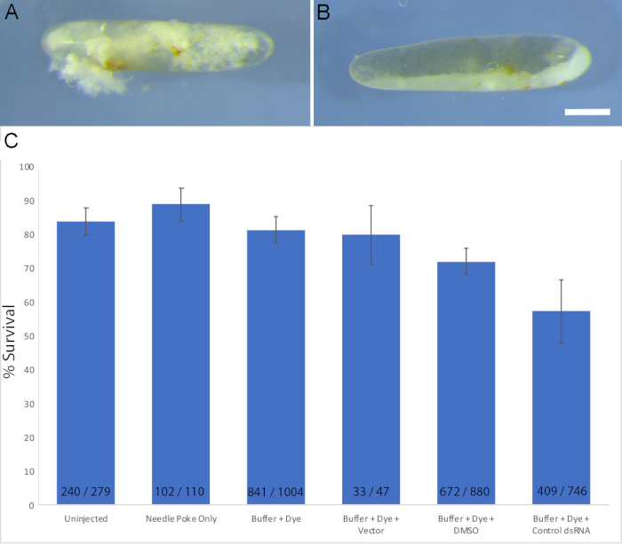 Microinjection embryo experiment; bar chart shows survival rates under various conditions.