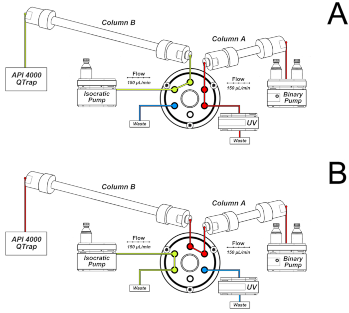 Liquid chromatography setup diagram; isocratic and binary pumps; API 4000 QTrap; flow 150 µL/min.
