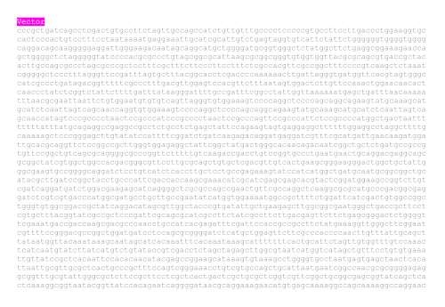 figure-results-9 DNA sequence analysis, highlighting genetic vector, illustrating gene editing, text pattern result.
