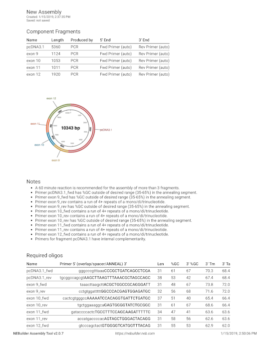 figure-results-10 DNA assembly process; circular plasmid map diagram; PCR fragments and primers layout; gene cloning.