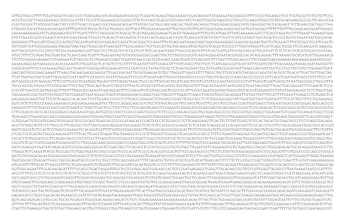 figure-results-11 DNA sequence data, gene arrangement, genome analysis, genetic code, bioinformatics research.