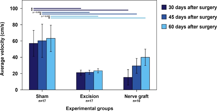 Nerve regeneration velocity chart; bar graph, three surgical groups, 30-60 days post-surgery analysis.