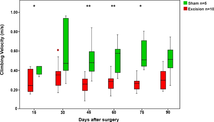 Climbing velocity box plot; post-surgery days analysis; sham vs. excision results; statistical markers