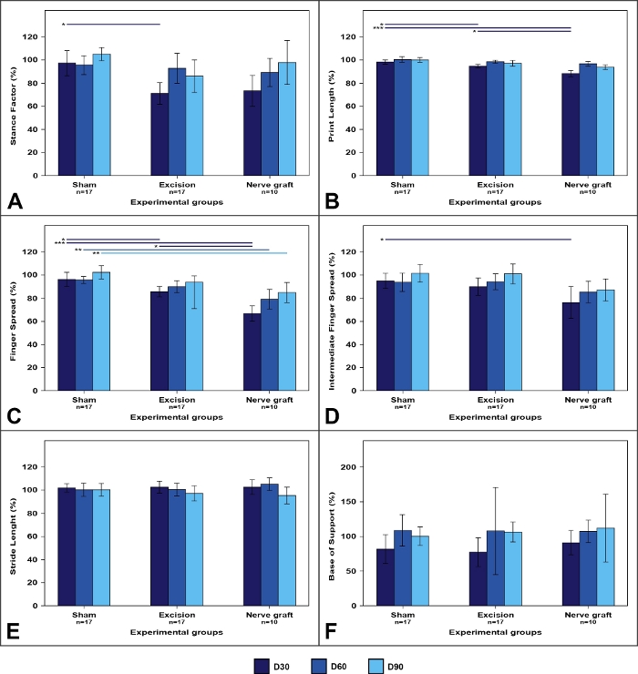 Gait analysis bar chart comparing sham, excision, and nerve graft groups over time (D30, D60, D90).