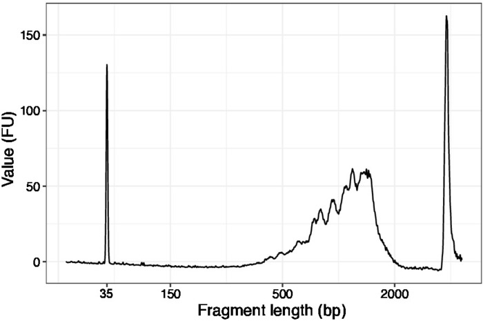 figure-results-3 DNA fragment analysis, electropherogram, fragment length vs. fluorescence, molecular sizing.