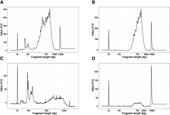 figure-results-4 Fragment length analysis charts; DNA electrophoresis results; peak intensity in fluorescent units.