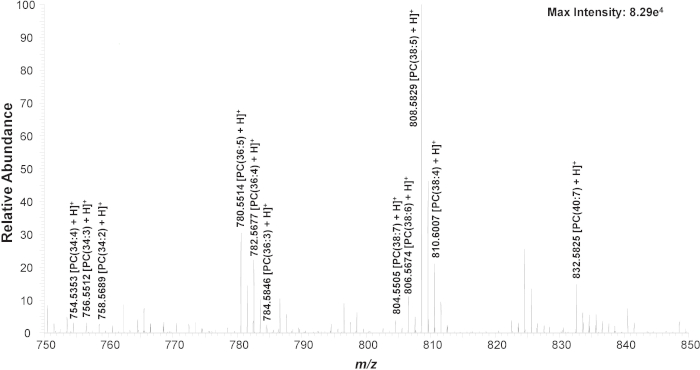 figure-results-3 figure-results-3