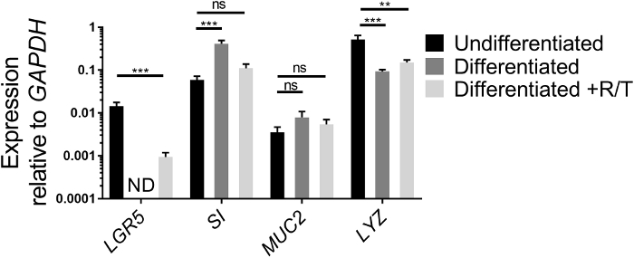 figure-results-2