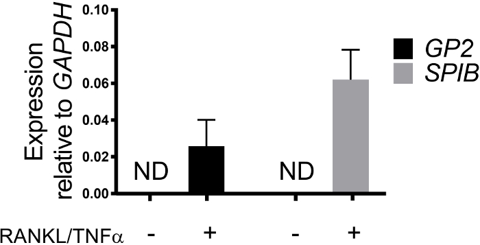 figure-results-3