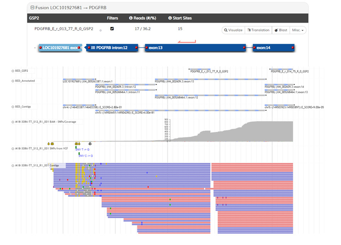 Oncogenic Gene Fusion Detection Using Anchored Multiplex Polymerase ...