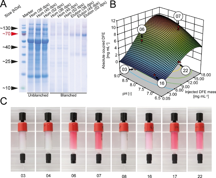 Electrophoresis protein separation gel, 3D surface plot of DFE vs mass/pH, colorimetric assay tubes.