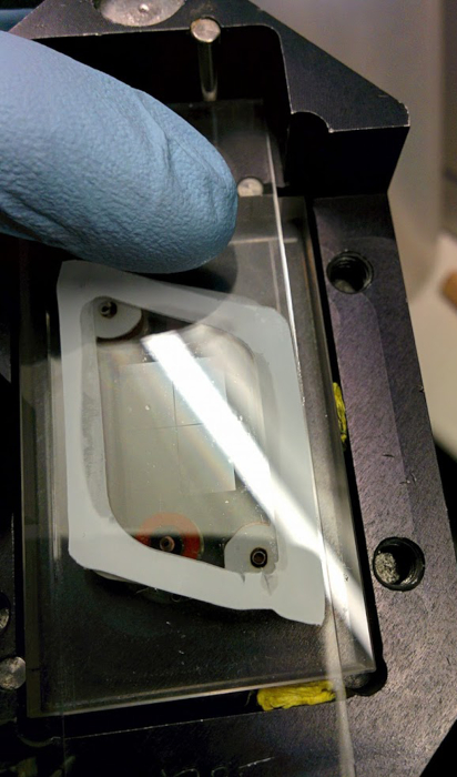 Microfluidic device setup for optical analysis and experimental fluid manipulation.