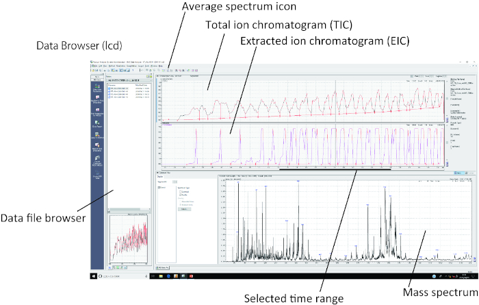 figure-results-3 Chromatography data analysis; TIC, EIC graphs; mass spectrum; software interface for analysis.