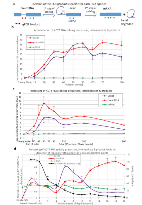 figure-results-3 figure-results-3