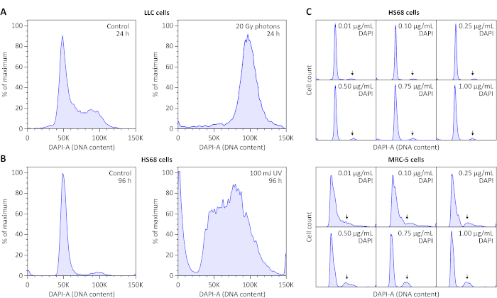 figure-results-6 DAPI-stained cell DNA content histograms, flow cytometry analysis, LLC, H586, MRC-5 cells, UV, photon effects.