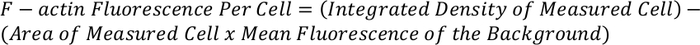 F-actin fluorescence equation in cell analysis; describes fluorescence measurement per cell.