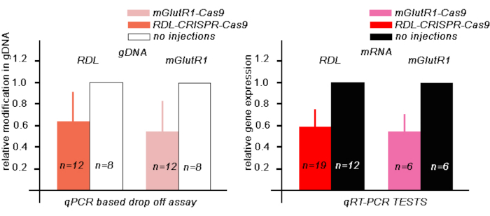 figure-results-3 qPCR and qRT-PCR results for gDNA and mRNA expression; CRISPR-Cas9 impact on gene modification.