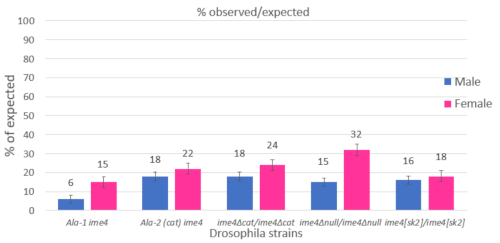 figure-results-1