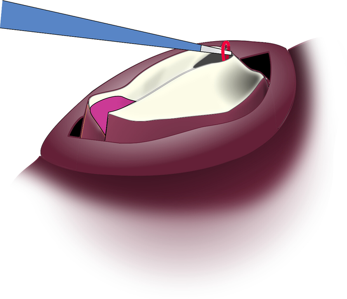 figure-protocol-6 Diagramma della sezione trasversale di un rivestimento di semi, che illustra in dettaglio i suoi strati e la sua struttura.
