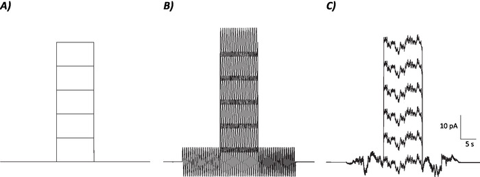 Electrophysiology current traces diagram; A) baseline, B) stimulus, C) response; data analysis.