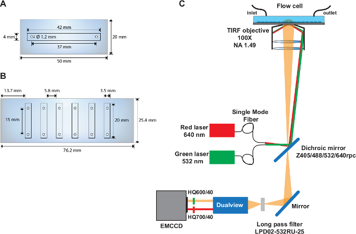 figure-results-1 TIRF microscopy diagram; flow cell setup; dual laser excitation; dichroic mirror alignment.