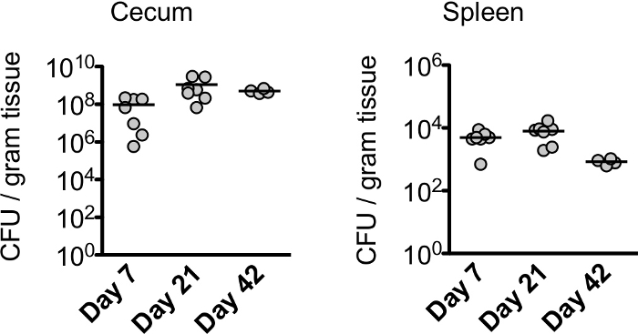 figure-results-2