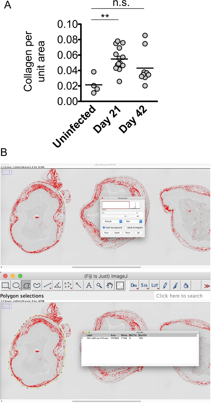 figure-results-4