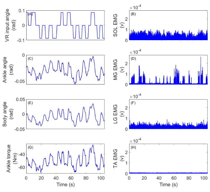 Static equilibrium graph; VR input, angles, torque, EMG signals diagram; biomechanics analysis.