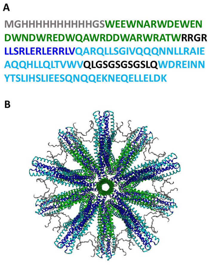 figure-results-1 Protein structure analysis; amino acid sequence, helical diagram, molecular modeling, bioinformatics.
