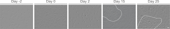 figure-results-4 figure-results-4