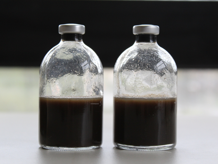 Fermentation process, two flasks with dark liquid, microbial growth, experimental setup.