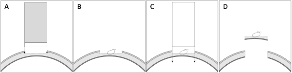 figure-protocol-1